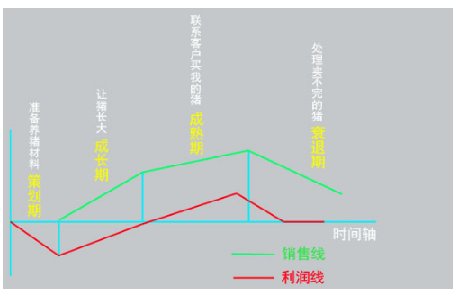 淘寶店鋪整體運(yùn)營(yíng)規(guī)劃思路模板